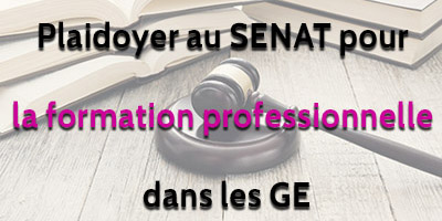 Playdoyer au Senat formation professionnelle GE