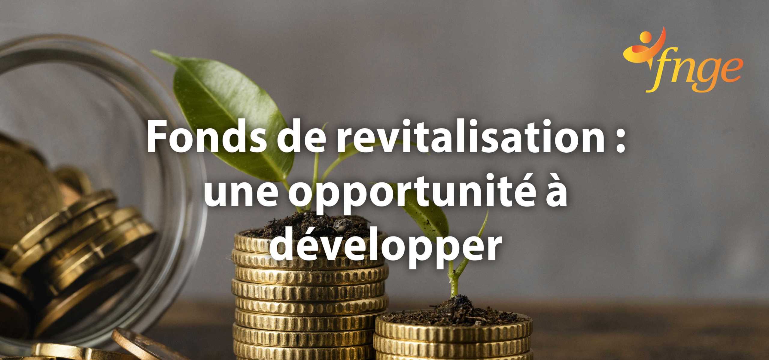 Fond de revitalisation aide financière pour les GE